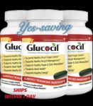 Glucocil – Premium Blood Sugar Support - Over 2 Million Bottles Sold - Supports The 3 Essentials for Healthy Blood Sugar - Since 2008, with Berberine, Proprietary Mulberry Leaf, and More