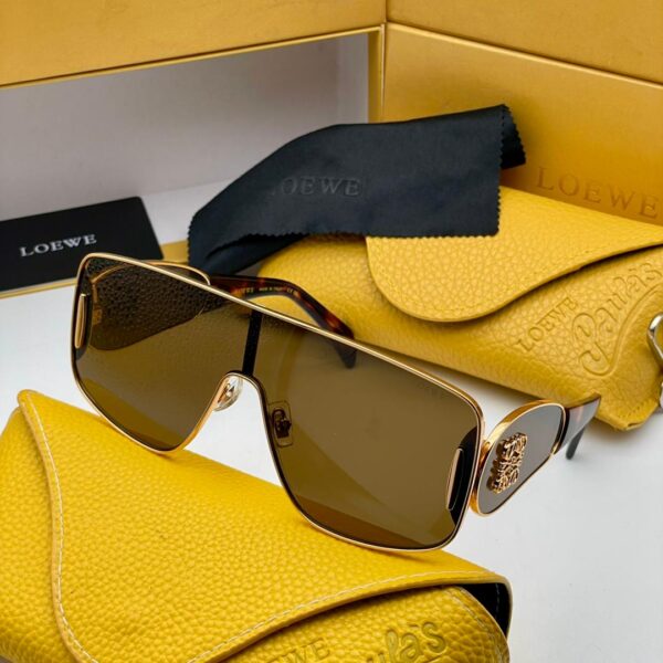 Loewe sunglasses with case
