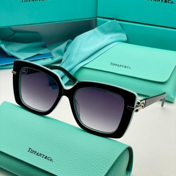 Tiffany & Co sunglasses (with case)