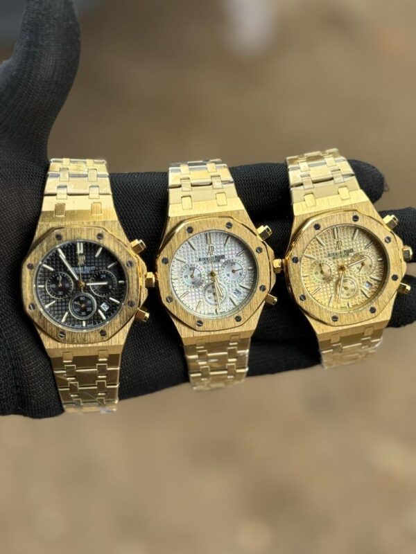 Audemars pigget automatic with case